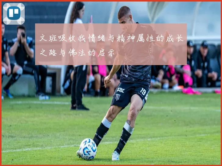 文班吸收我情绪与精神属性的成长之路与佛法的启示